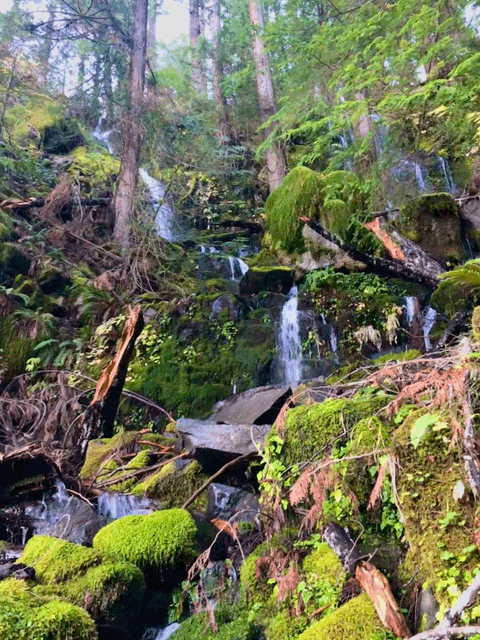 Waterfall Gif animation by Bryan Anthony Vallone