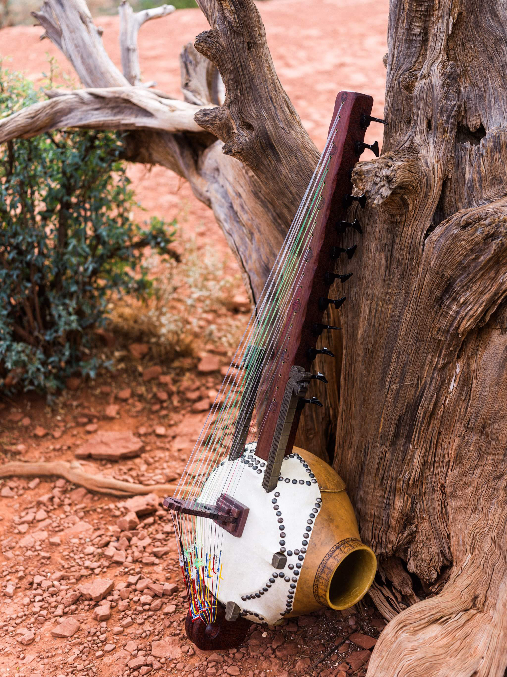 Quetzalcoatl Kora by Bryan Anthony Vallone and Juniper tree in Sedona